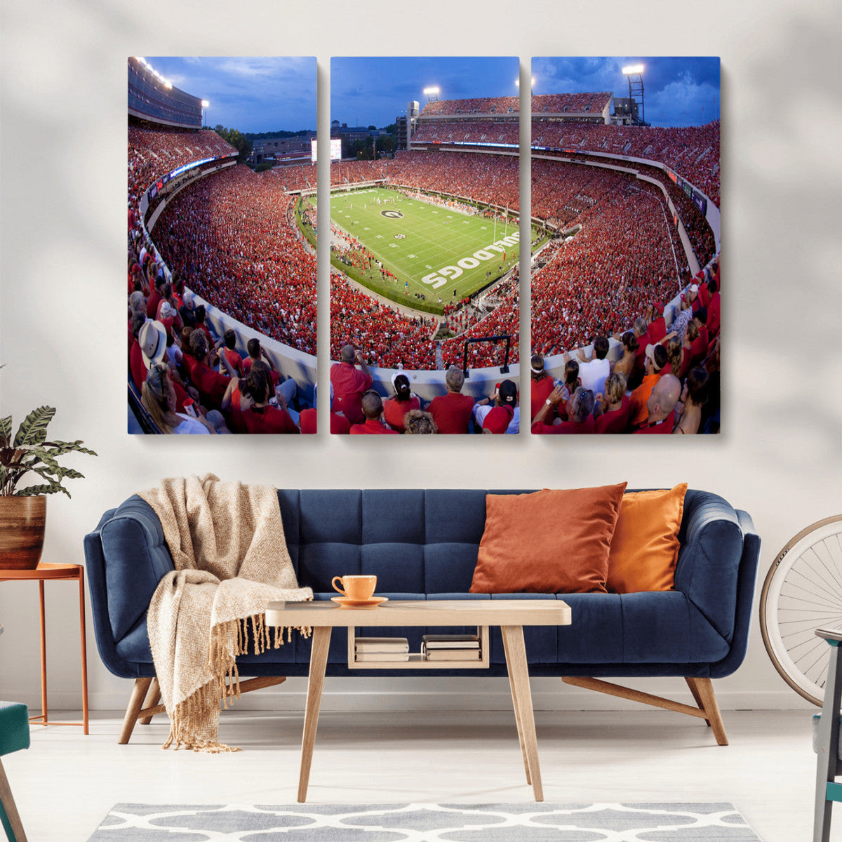 Dooley Stadium Wall Art, Sports Arena Canvas Print, Dooley