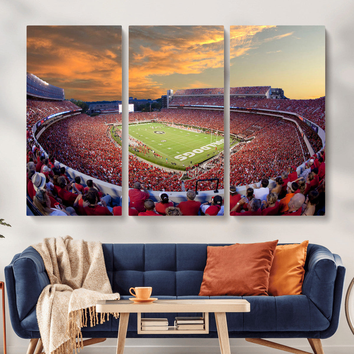 Dooley Stadium Wall Art, Sports Arena Canvas Print, Dooley
