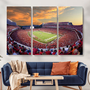 Dooley Stadium Wall Art, Sports Arena Canvas Print, Dooley