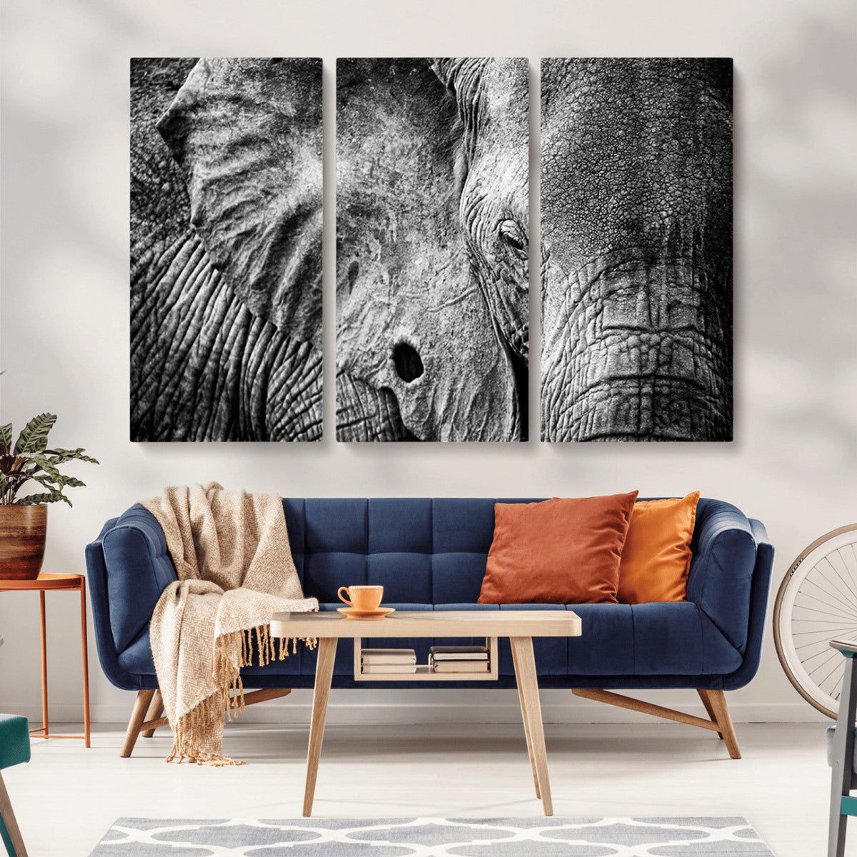 Wild Old Elephant Wall Art Canvas Print