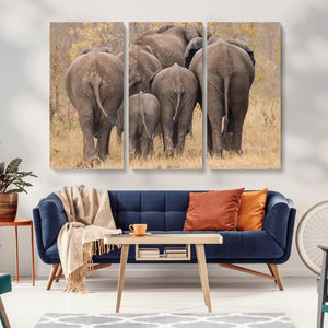 Wild Elephant Wall Art Canvas Print