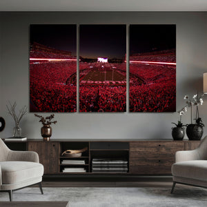 Sanford Stadium Wall Art Canvas Print – Georgia Bulldogs