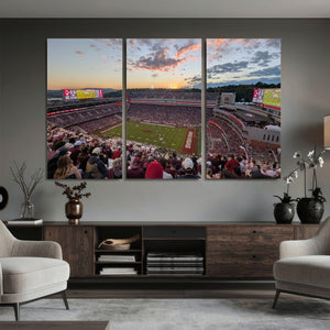 Donald W. Reynolds Razorback Stadium Wall Art Canvas Print –