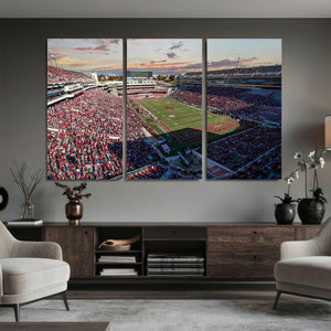 Donald W. Reynolds Razorback Stadium Wall Art Canvas Print –