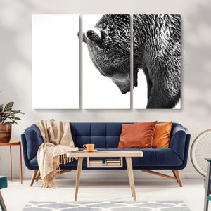 Black and White Grizzly 399 Bear Canvas Print Wall Art |