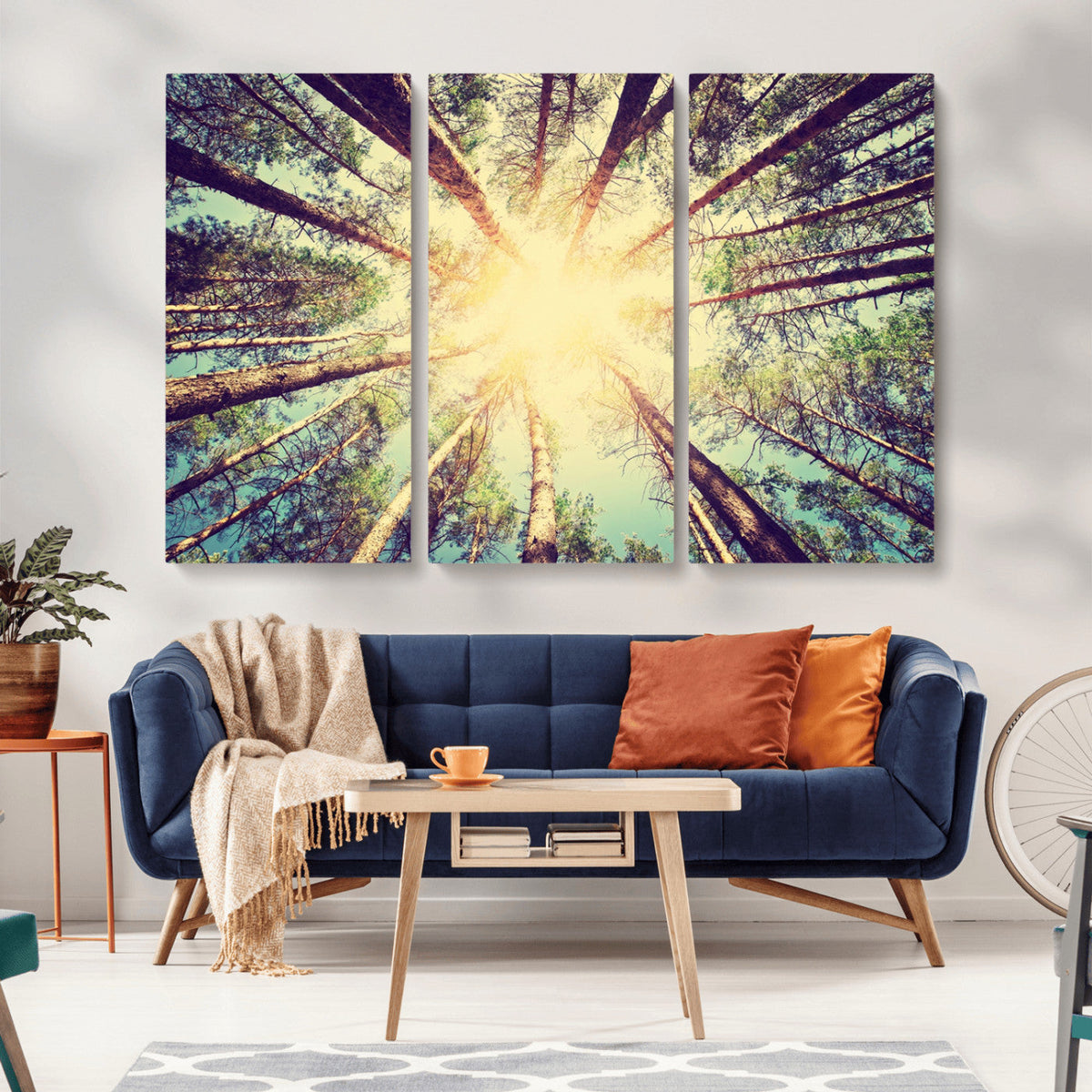 Tree and Sunshine Canvas Print