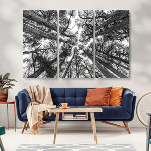 Trees Contemporary Art Canvas Print