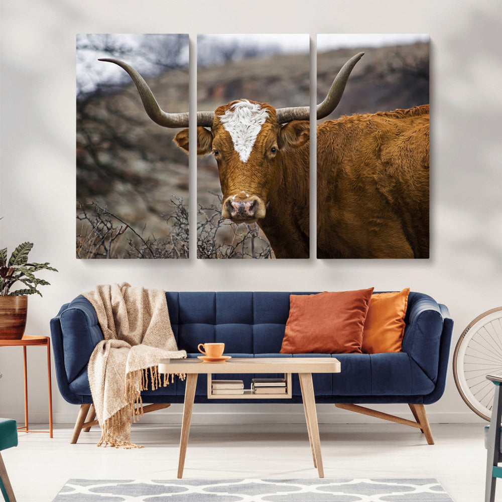 Texas Longhorn Canvas Wall Art - Longhorn Steer Canvas Wall
