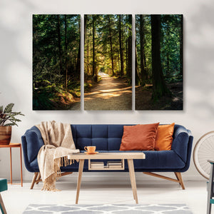 Sunlit Forest Pathway Canvas Print | 3 Panel Large Nature