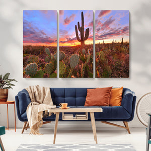 Arizona Desert Wall Art Canvas Print - Framed Deser Sunset