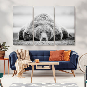 Resting Grizzly Bear Wall Art Canvas Print – Majestic Lazy
