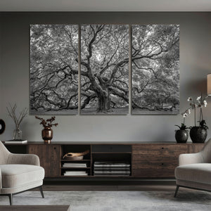 Majestic Angel Oak Tree Black and White Canvas Print – Multi