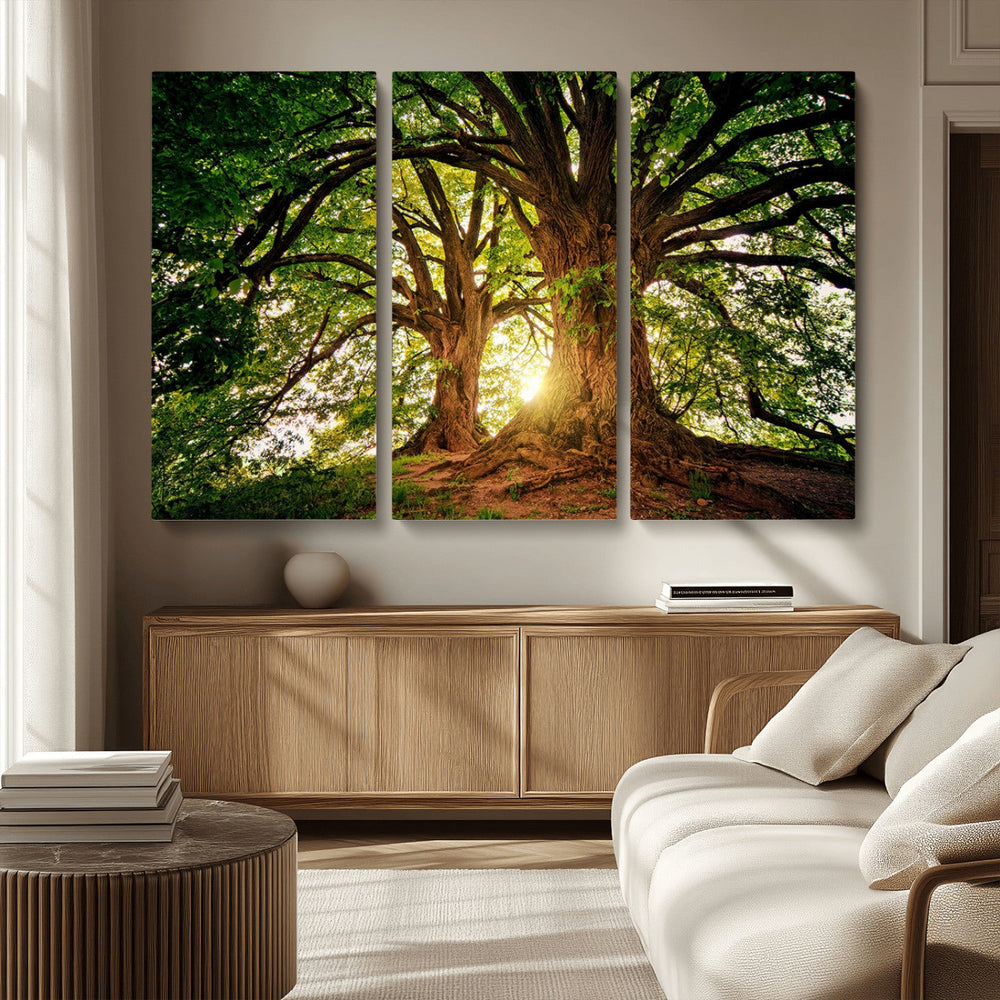 Majestic Ancient Tree Wall Art, NatureCanvas Print, Woodland