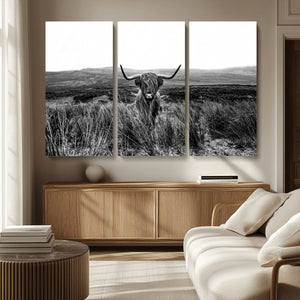 Black and White Highland Cow Canvas Wall Art, Longhorn