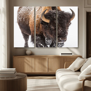 Bison Wall Art Canvas Print For Farmhouse, Wild Animal Wall