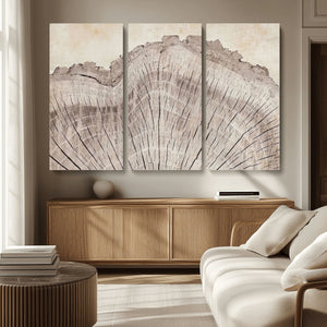 Tree Ring Wall Art Triptych, Rustic Wood Ring Canvas Print,