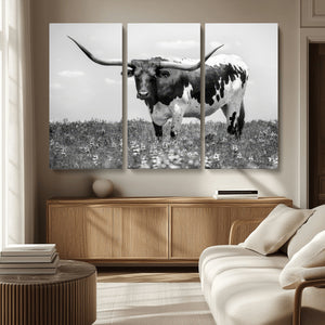 Texas Black White Highland Longhorn Cow Wall Art Canvas