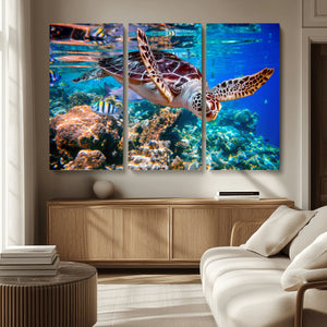 Underwater Coral Reef Sea Turtle Wall Art Canvas Print,