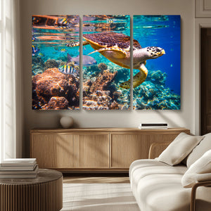 Sea Turtle Wall Art Canvas Print – Vibrant Ocean Coral Reef