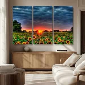 Golden Sunflower Field at Sunset – Breathtaking Sky and