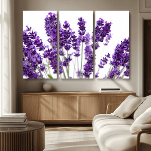 Lavender Flower Wall Art Canvas Print