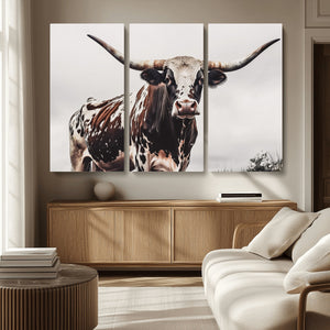 Texas Longhorn Wall Art Canvas Print – Framed Spotted Bull
