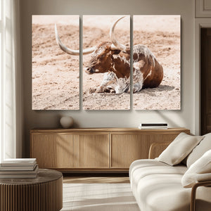 Texas Longhorn Wall Art – Framed Resting Bull Canvas