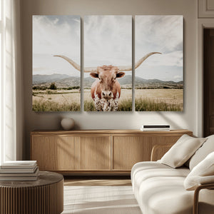 Texas Longhorn Wall Art Canvas Print – Framed Western Cow