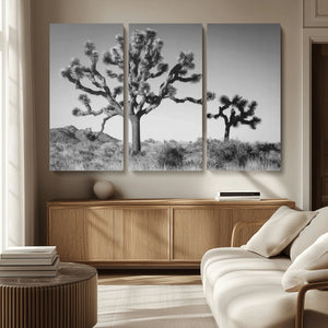 Joshua Tree Wall Art Canvas Print – Framed Monochrome Desert