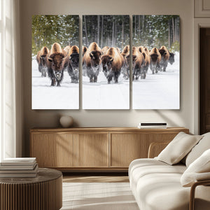 American Bison Herd Wall Art Canvas Print – Powerful Winter