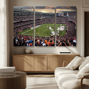 Chicago Bears Soldiers Field Wall Art Canvas Print – Framed
