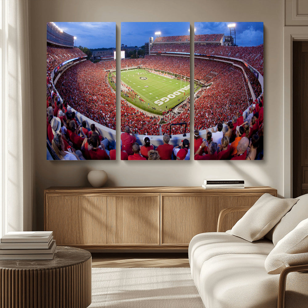Dooley Stadium Wall Art, Sports Arena Canvas Print, Dooley