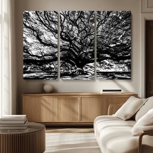 Mighty Angel Oak Wall Art | Angel Oak Tree Art Print