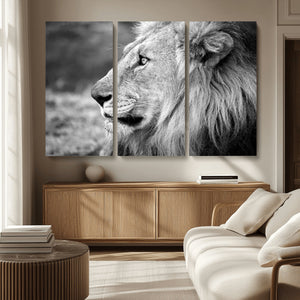 Lion Wall Art Canvas Print – Framed Majestic Wildlife