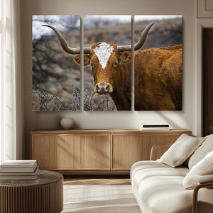 Texas Longhorn Canvas Wall Art - Longhorn Steer Canvas Wall
