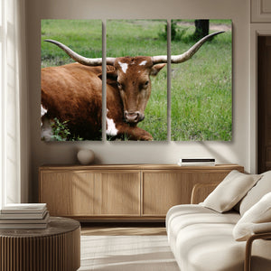 Longhorn Cow Animal Wall Art Canvas Print