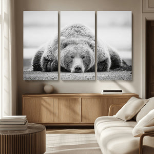 Resting Grizzly Bear Wall Art Canvas Print – Majestic Lazy