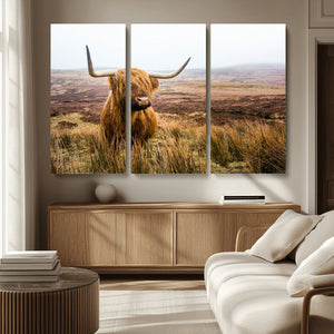 Scottish Highland Cow Canvas Wall Art – Rustic Farmhouse