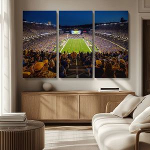 Pittsburgh Panthers Football Team Print - Pittsburgh