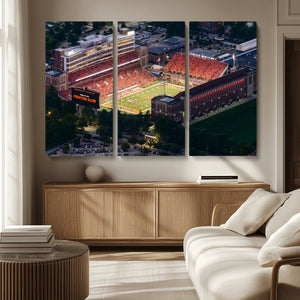 University of Illinois Fighting Illini Football Team Print -