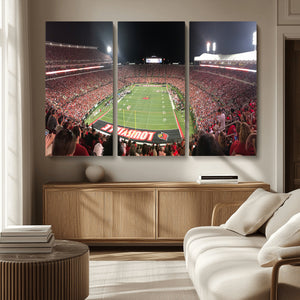 University of Louisville Cardinals Football Team Print -