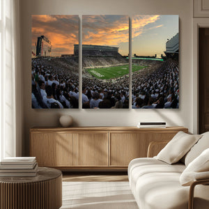 Michigan State Spartans Football Team Print - East Lansing