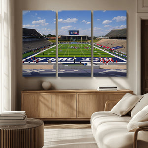 Rice University Owls Football Team Print - Houston Rice