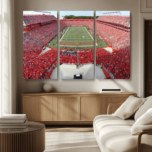 Rutgers Scarlet Knights Football Team Print - Piscataway SHI