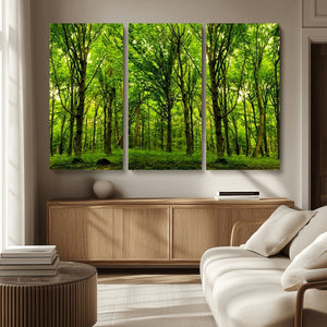 Lush Green Forest Canvas Print | 3-Panel Forest Wall Art |