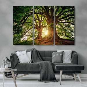 Majestic Ancient Tree Wall Art, NatureCanvas Print, Woodland
