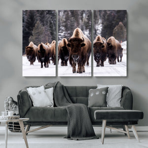 Bison Wall Art Canvas Print- Bison Herd Canvas Wall Art –