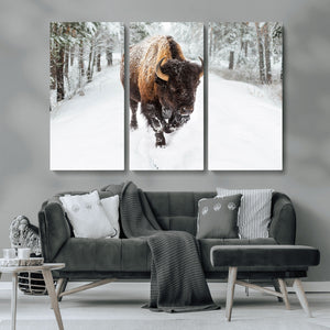 Bison Wall Art Canvas Print For Farmhouse, Animal Canvas