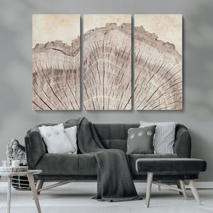 Tree Ring Wall Art Triptych, Rustic Wood Ring Canvas Print,