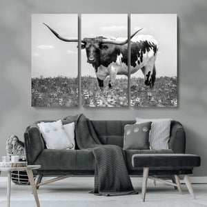 Texas Black White Highland Longhorn Cow Wall Art Canvas